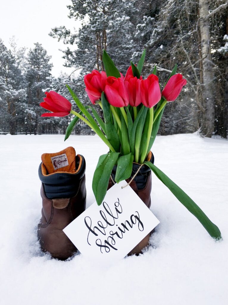 snow boots and flowers with sign "Hello Spring"